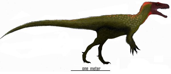 An artist's reconstruction of Marshosaurus,  by Danny Cicchett. Creative Commons License